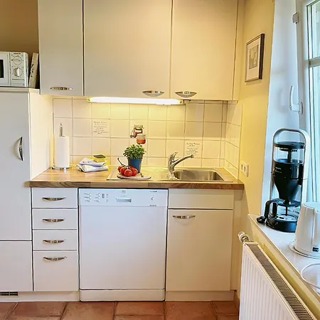 Haus Benninghusumer Deichweg, Eingezäunt, Hunde Willkommen, Kamin, Ruhig Gelegen, Wlan Ferienhaus Emmelsbüll-Horsbüll